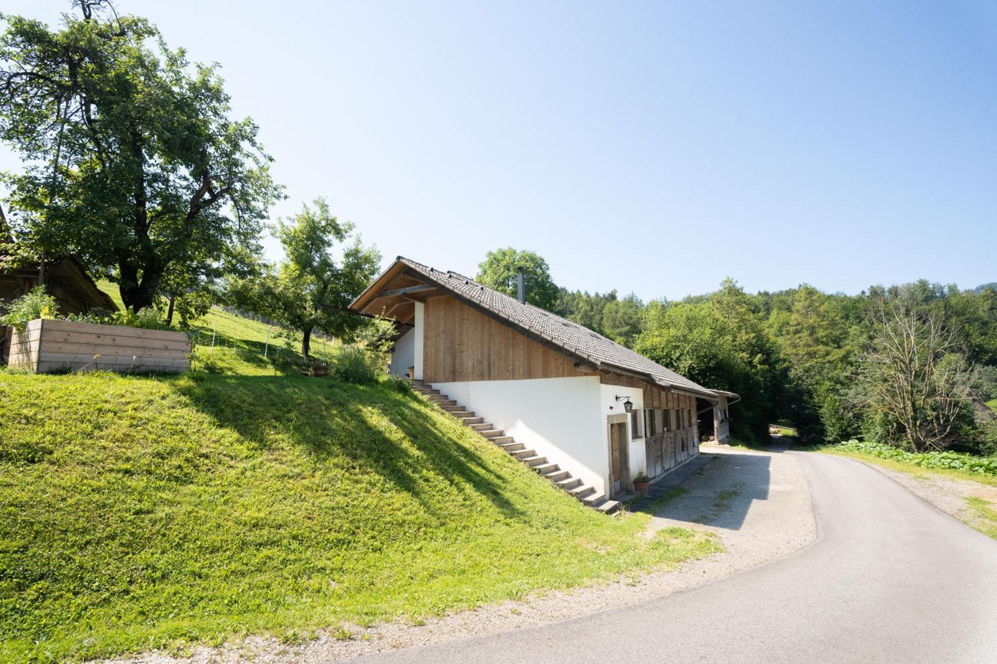 Horse Farm Holiday Pr' Kolenc Zgornje Gorje Kültér fotó